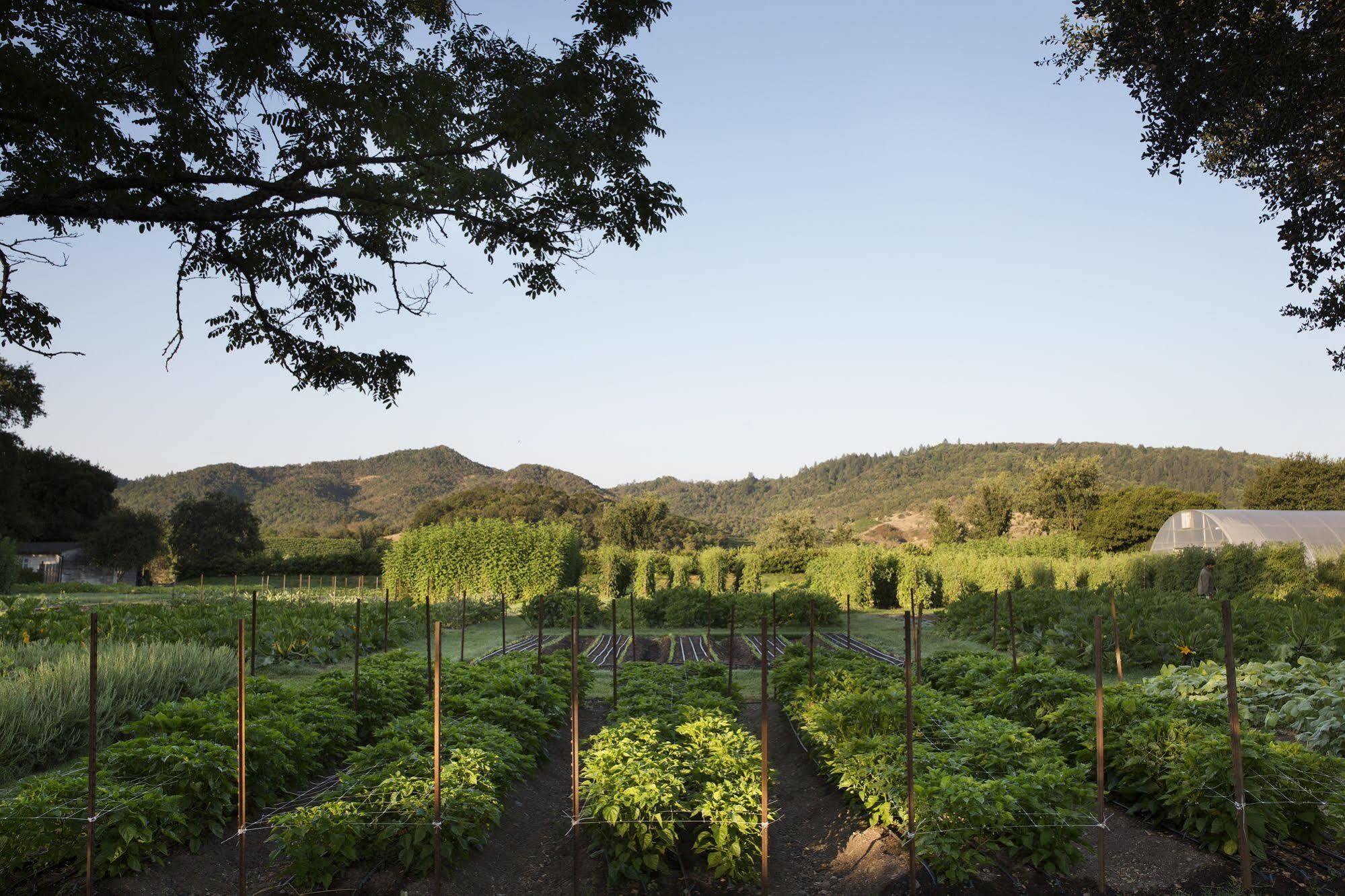 Napa Valley Lodge Yountville Ngoại thất bức ảnh